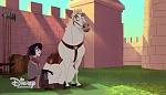 Image Raiponce : 
