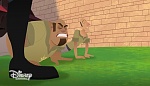 Image Raiponce : 