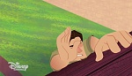 Image Raiponce : 