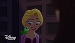 Image Raiponce : 