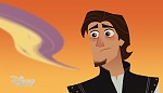 Image Raiponce : 