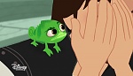 Image Raiponce : 