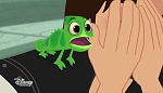 Image Raiponce : 