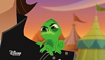 Image Raiponce : 