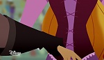 Image Raiponce : 