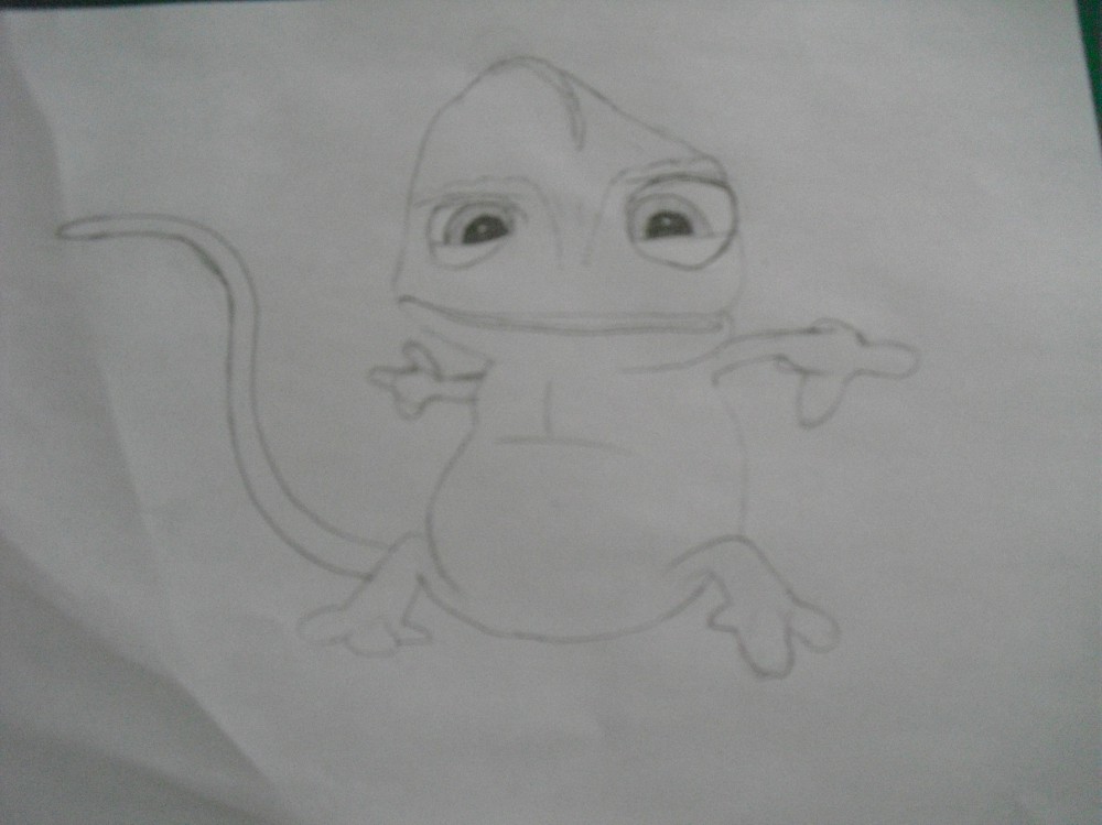 pascal le Caméléon