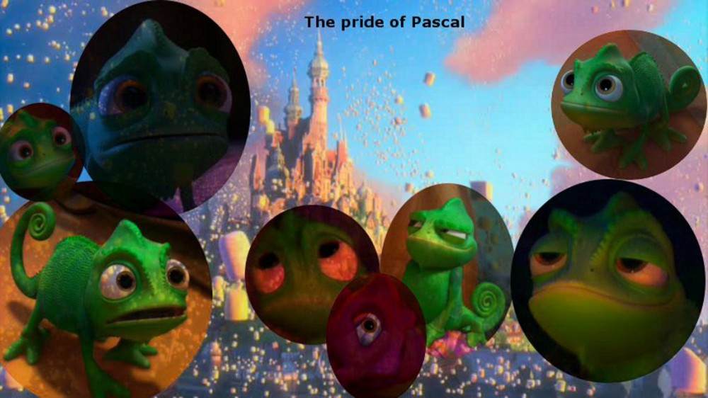 The pride of Pascal