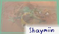 Shaymiin