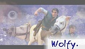 Wolfy'