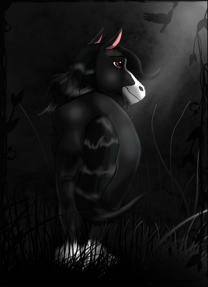 Following the crow