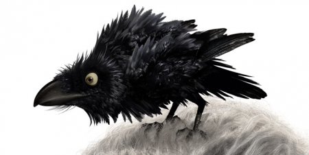 Detail Le corbeau