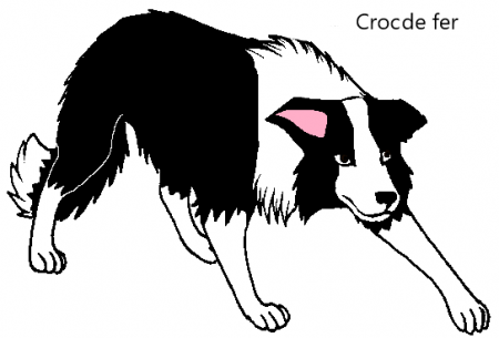 Detail Croc de Fer