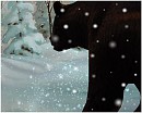 Projet Surprise Noël : Image 1