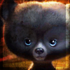 Avatar ourson 2