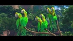 Rio picture