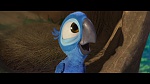 Rio picture