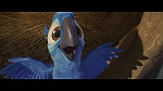 Rio picture