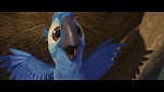 Rio picture