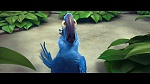Image Rio