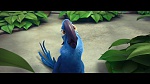 Image Rio