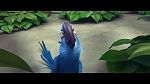 Image Rio