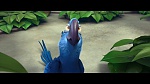Image Rio
