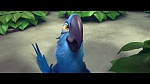 Image Rio