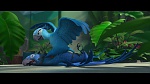 Image Rio