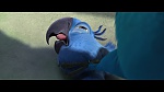 Image Rio