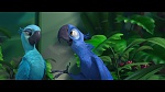 Image Rio