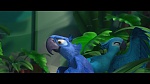 Image Rio