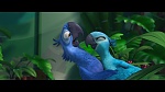 Image Rio