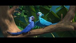 Image Rio