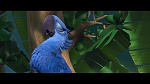 Image Rio