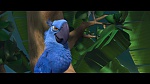 Image Rio