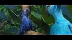 Image Rio