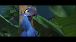 Image Rio
