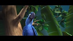 Image Rio