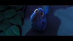 Image Rio