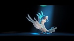 Image Rio