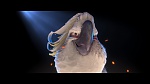 Image Rio
