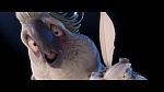 Image Rio