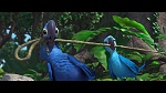Image Rio