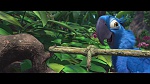 Image Rio