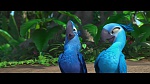 Rio picture