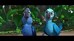 Rio picture