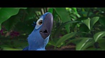 Rio picture