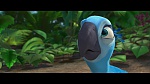 Rio picture
