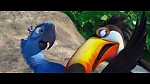 Rio picture