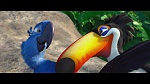 Image Rio